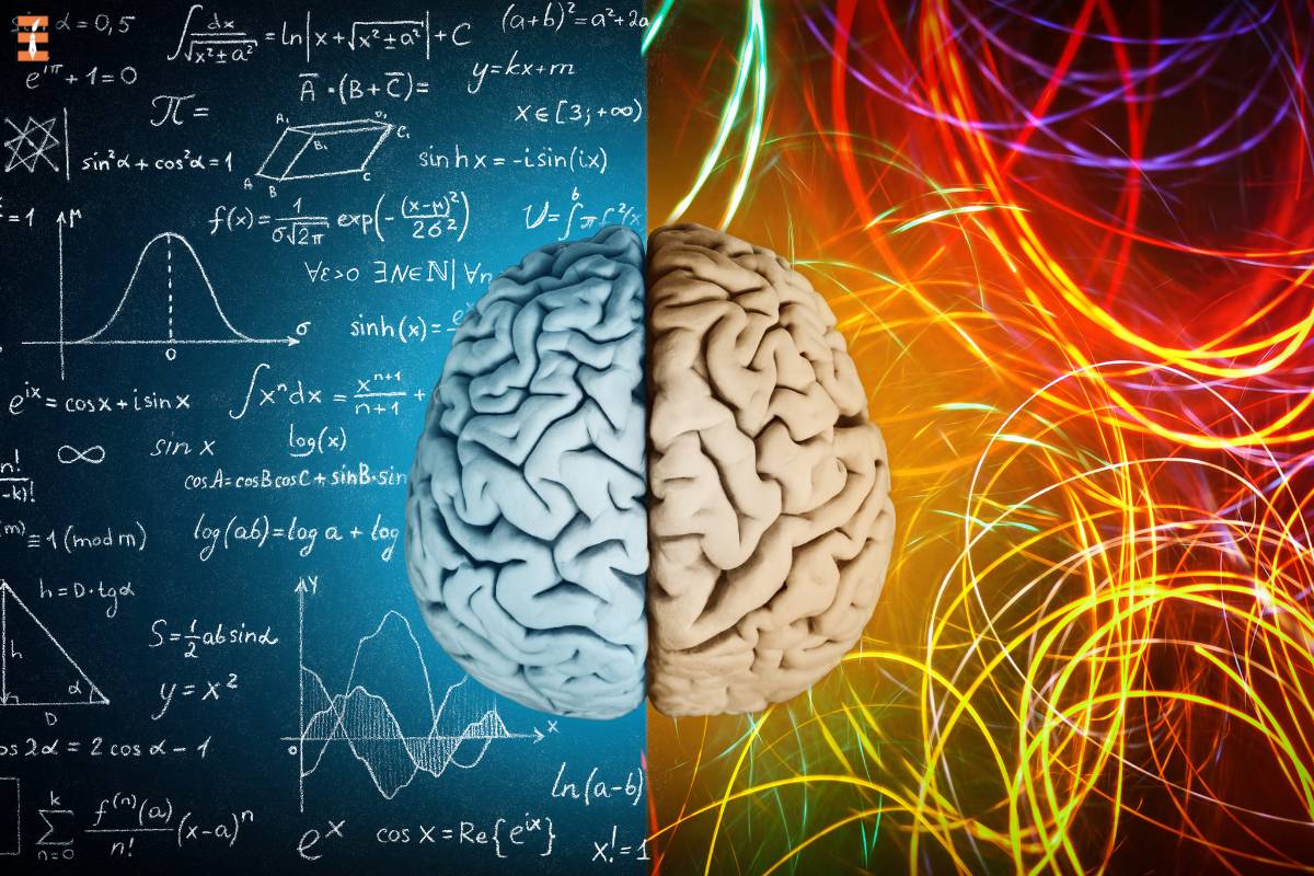 Exploring 6 Valuable Methods At The Intersection Of Neuroscience And Education | Future Education Magazine