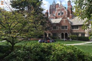 A Guide To Ivy League Schools Future Education Magazine