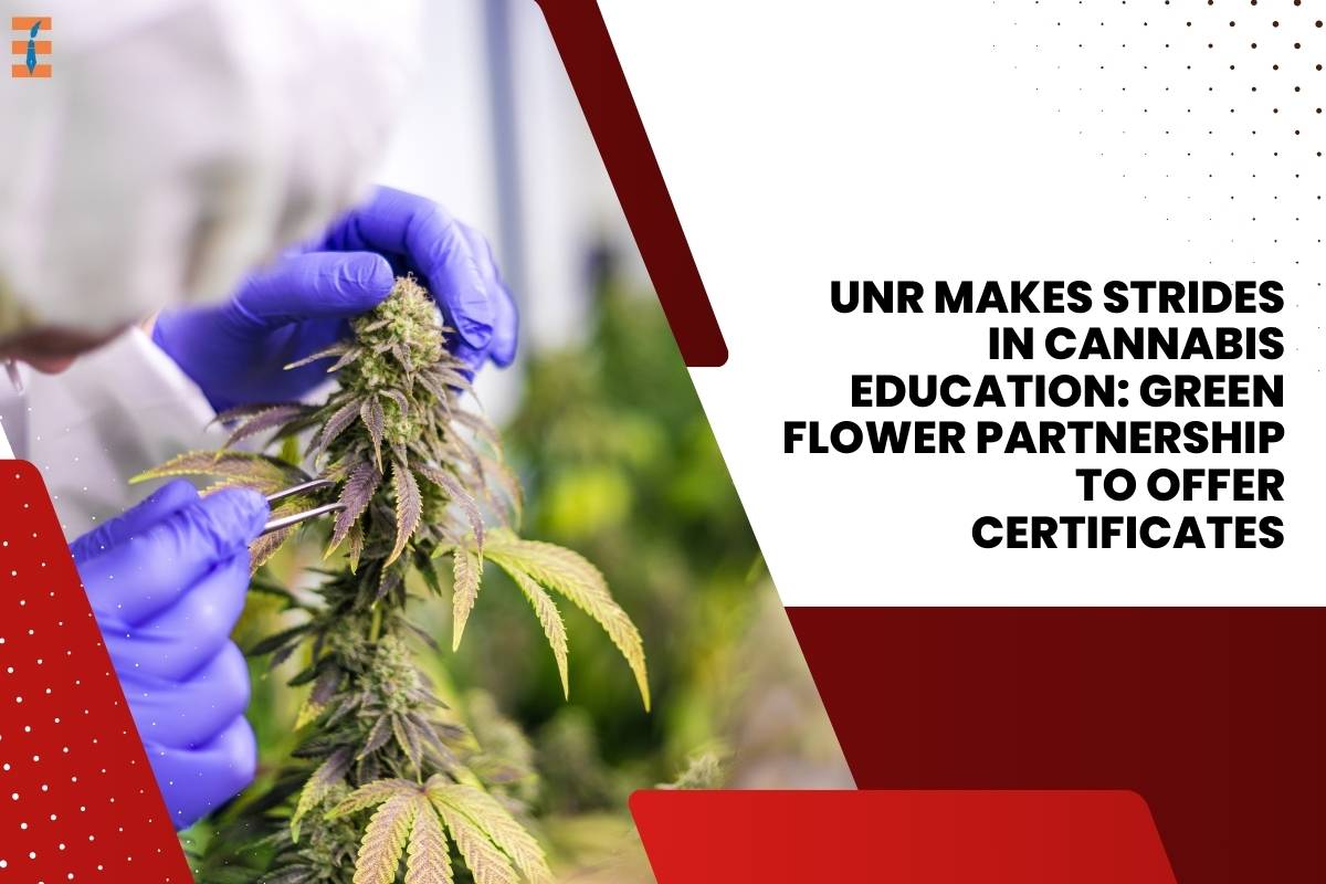 UNR Makes Strides in Cannabis Education: Green Flower Partnership to Offer Certificates