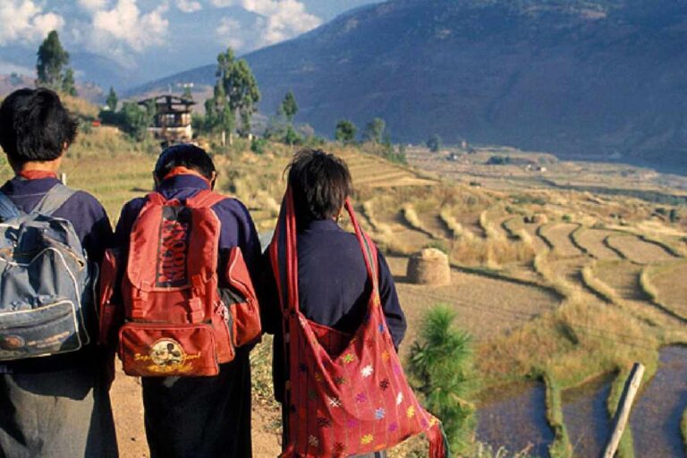 Education's Critical Role in Combating Climate Change | Future