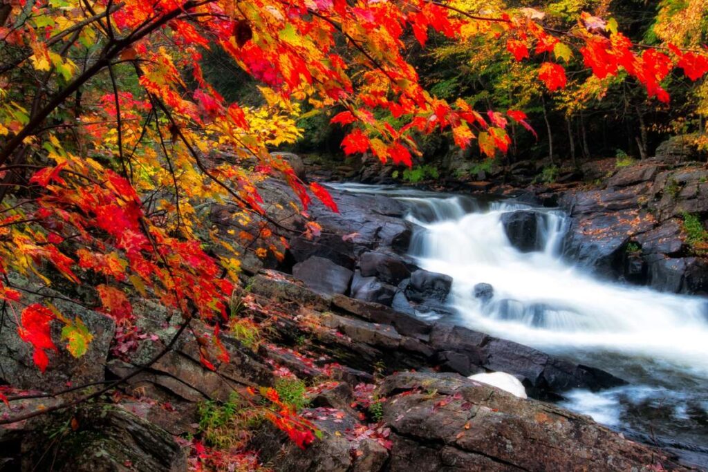 35 Fall Break Vacation Ideas: Explore the Colors of Autumn | Future Education Magazine