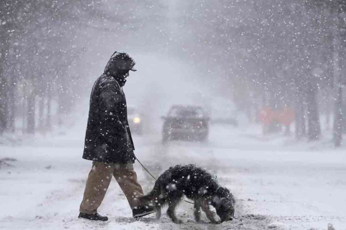 Missouri Grapples with Historic Snowfall Disruptions