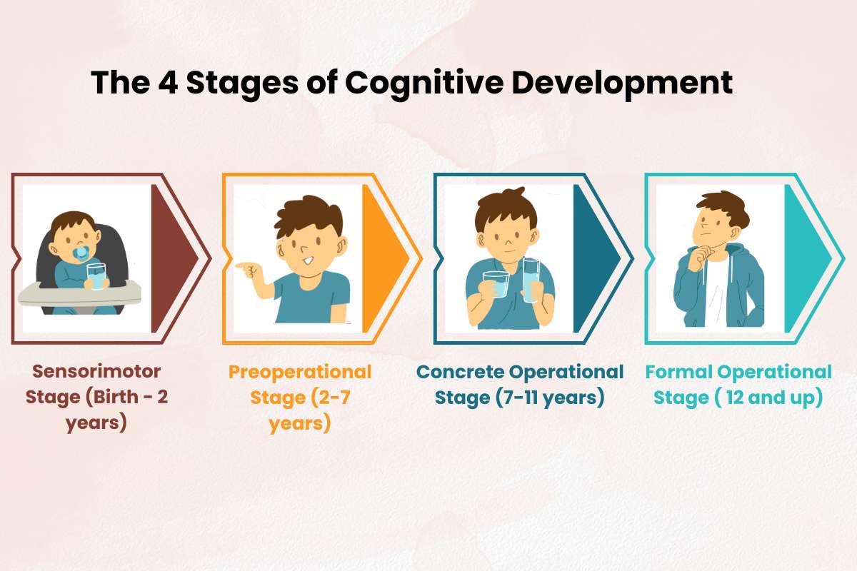 
The Stages Of Cognitive Development Explained How Children Develop ? | Future Education Magazine
