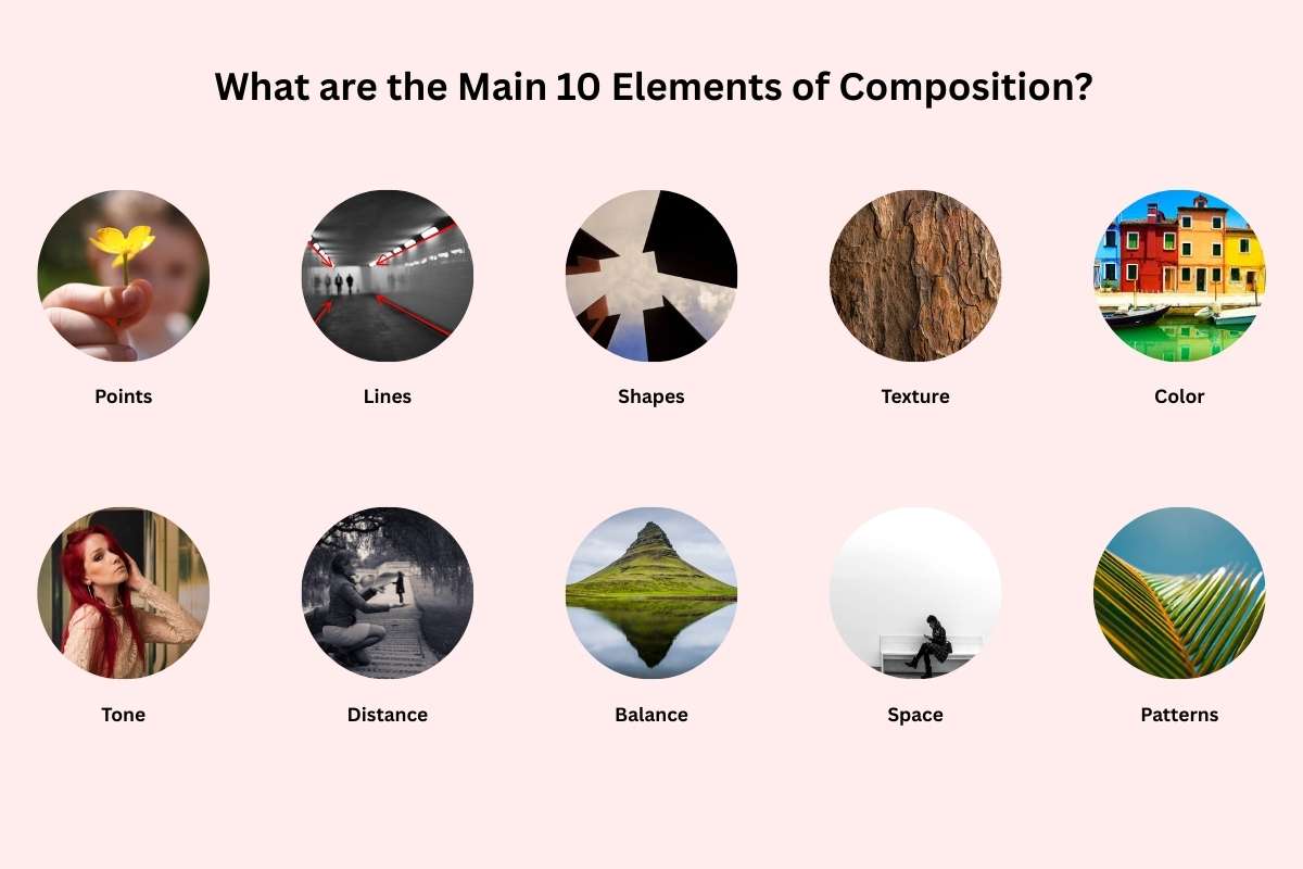 Mastering Composition in a Photograph with These Rules Pro | Future Education Magazine