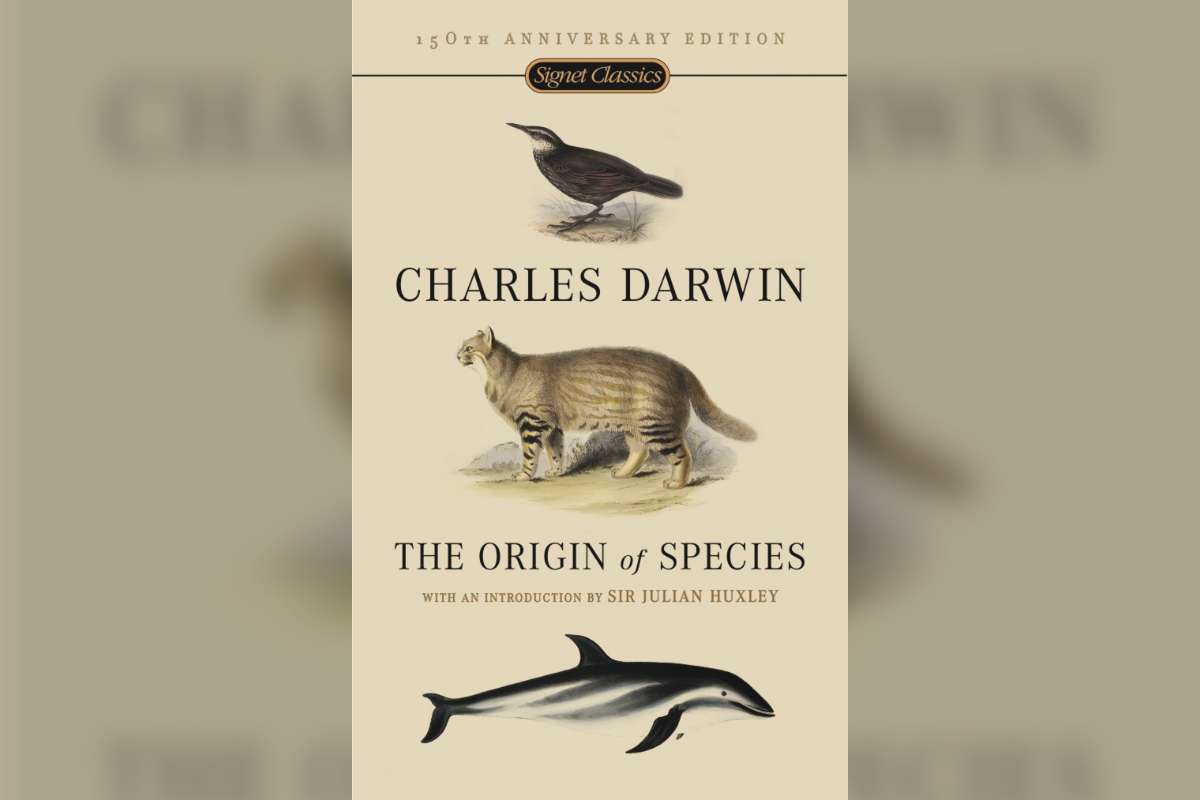 30 Classic Novels to Read That Show Why They’re Still Relevant Today | Future Education Magazine