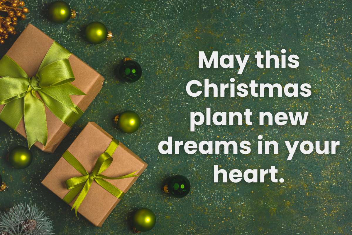 150+ Christmas Wishes to Spread Joy and Cheer in Classrooms and Offices | Future Education Magazine