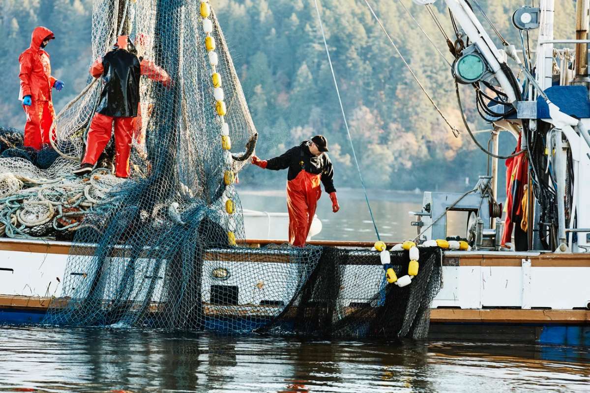 The Top 10 Most Dangerous Jobs in the US Where Risk is Part of the Routine | Future Education Magazine