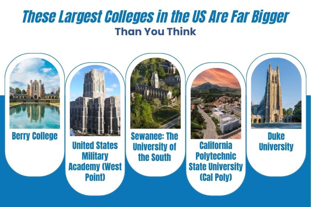 These Largest Colleges in the US Are Far Bigger Than You Think