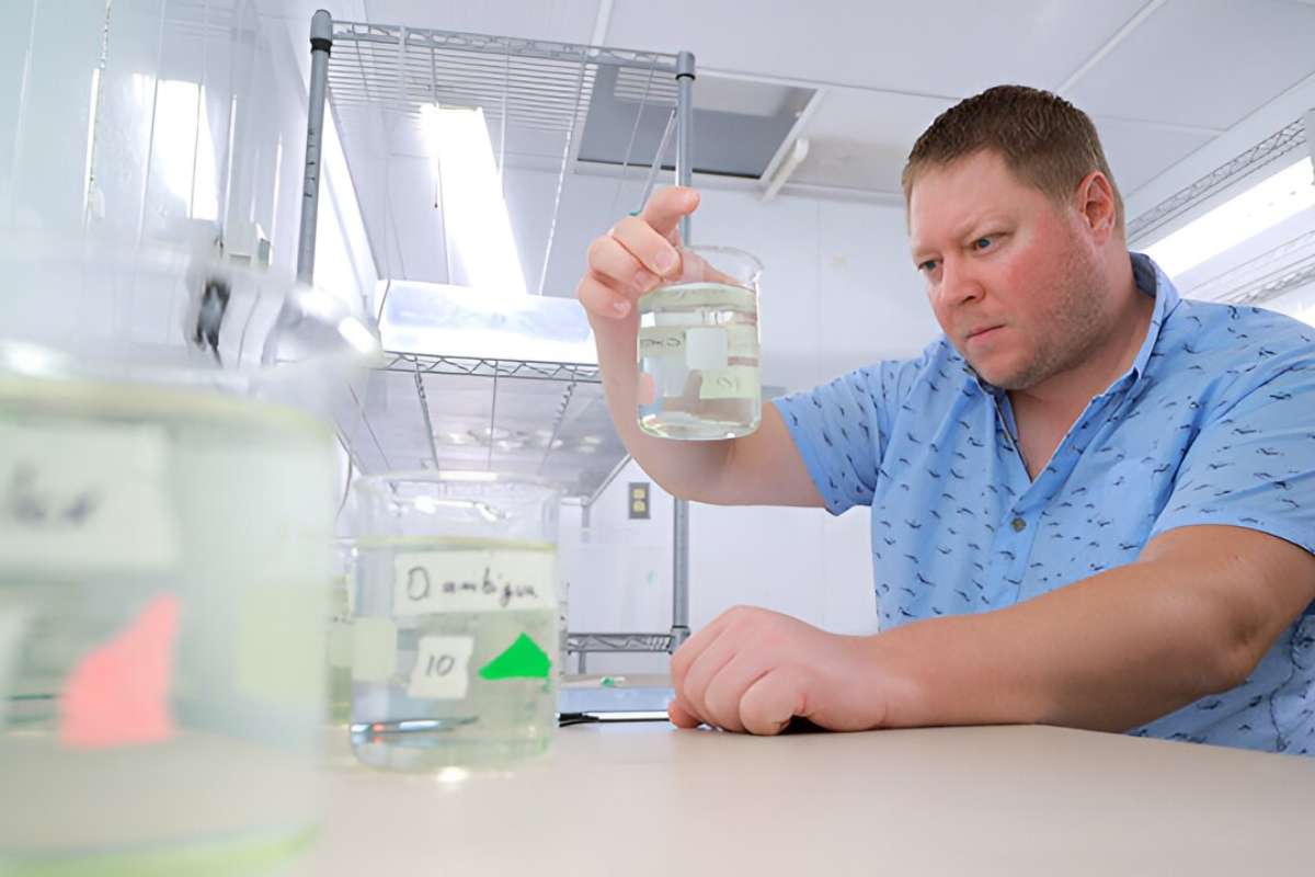 15 Most Useful Degrees for the Future Job Market | Future Education Magazine