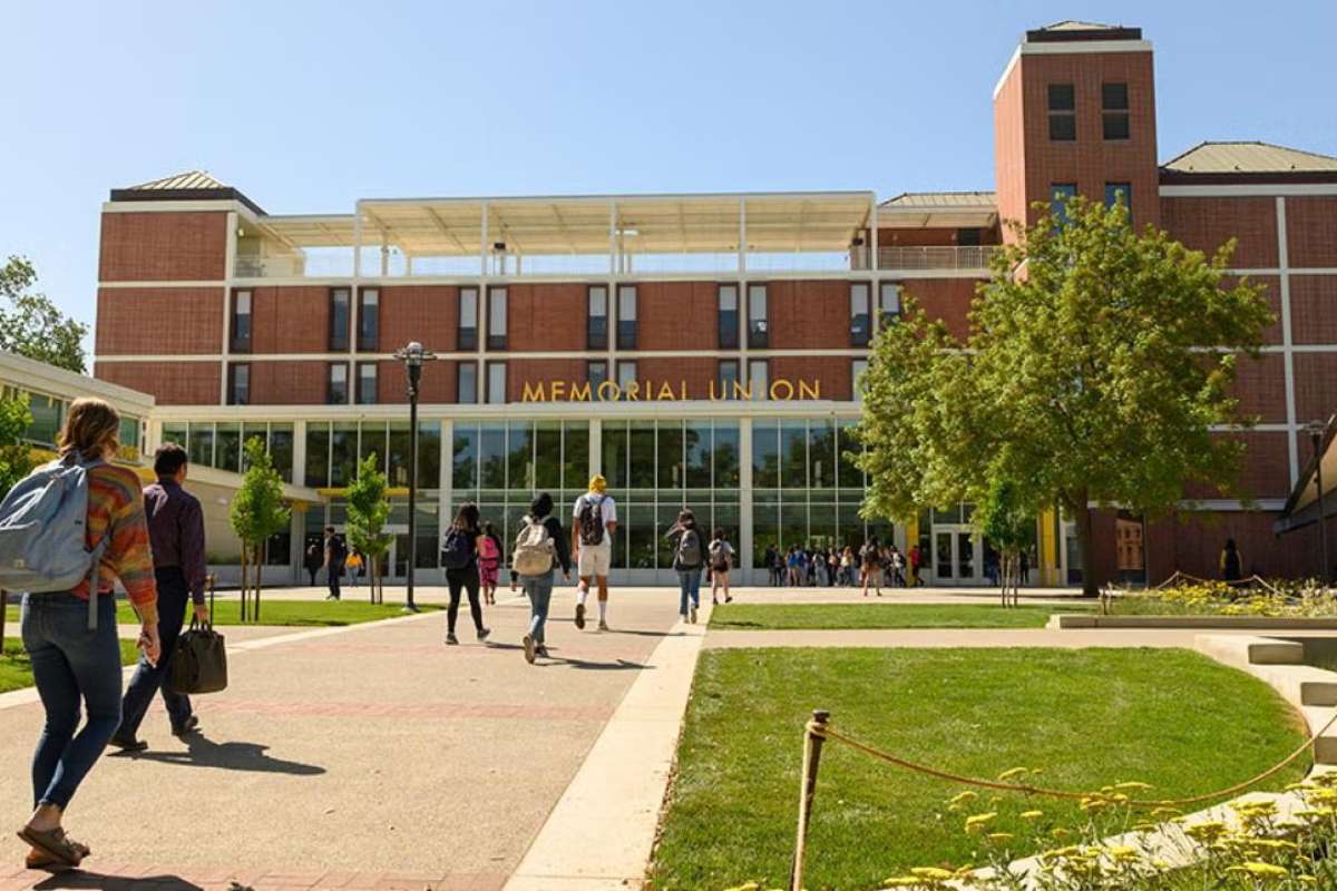 The Largest Colleges in the US Are Much Bigger Than You Think | Future Education Magazine